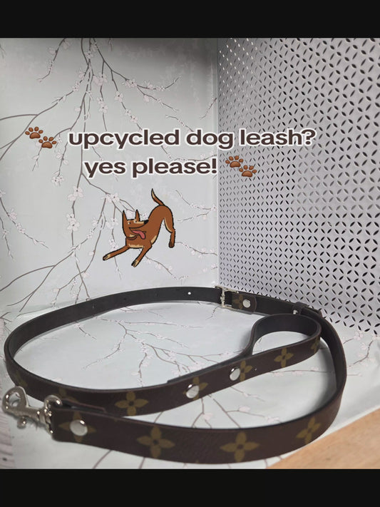 Upcycled dog leash